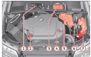 Seat Exeo. Abb. 233 Abbildung für die Einbaustellen der Elemente